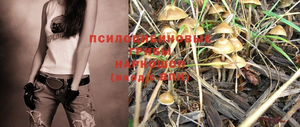 дмт Новокубанск