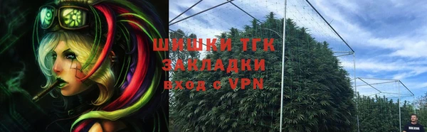 дмт Новокубанск