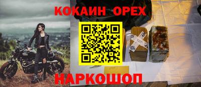 дживик Аргун