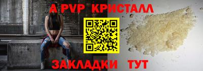 spice Гай
