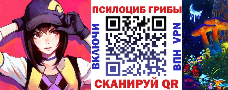 Псилоцибиновые грибы Psilocybe  Ипатово 