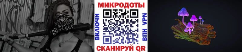 Псилоцибиновые грибы Psilocybe Ипатово