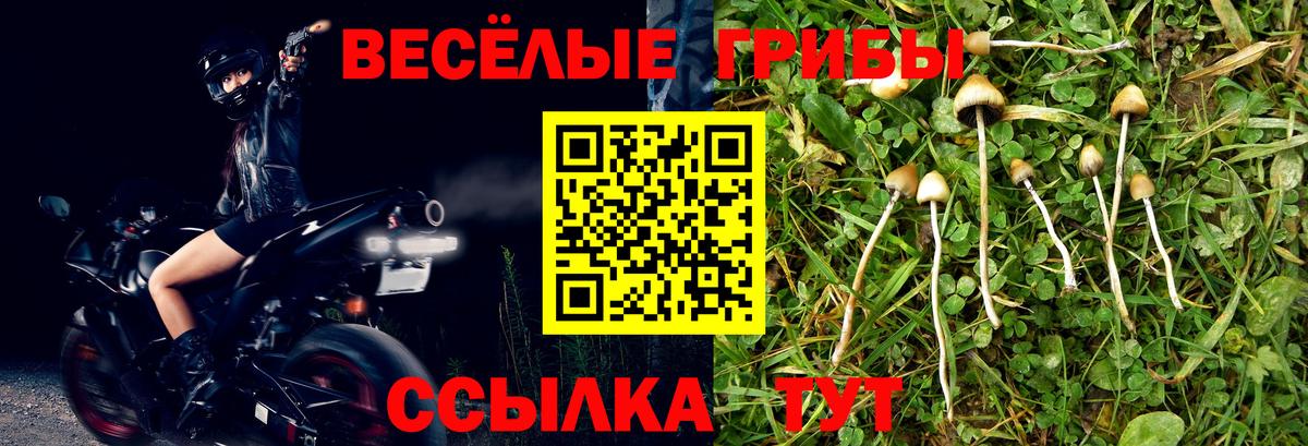 сколько стоит  Галлюциногенные грибы мухоморы  Вход с VPN  Ипатово 
