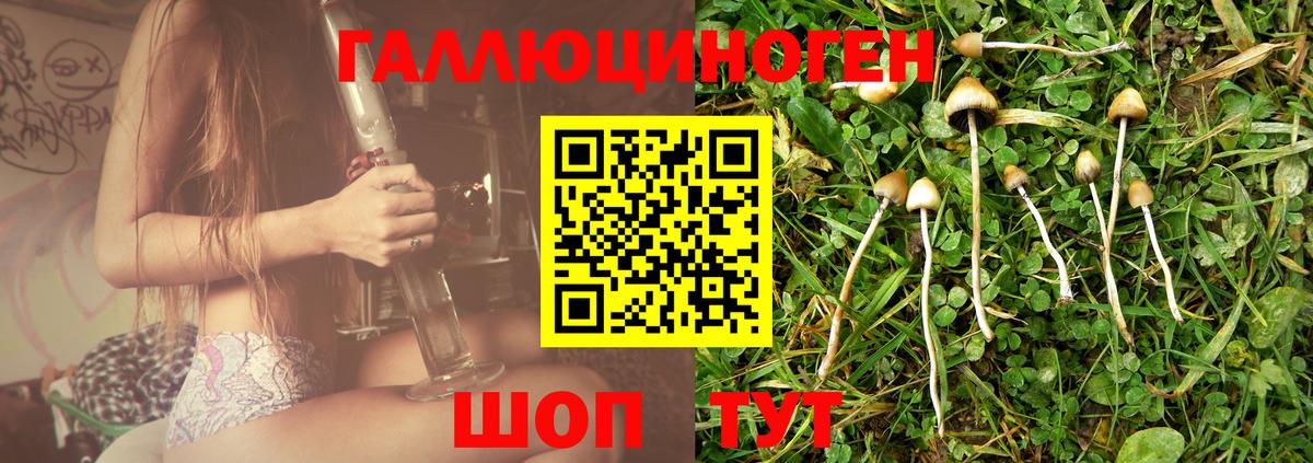 Псилоцибиновые грибы мицелий  Псилоцибиновые грибы Psilocybe  где купить наркотик  Ипатово 