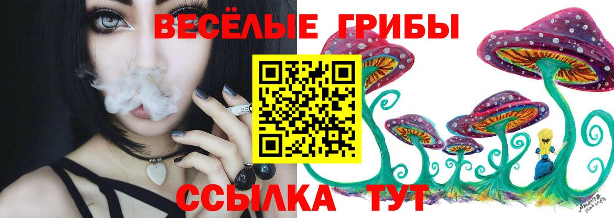 Псилоцибиновые грибы MAGIC MUSHROOMS Ипатово