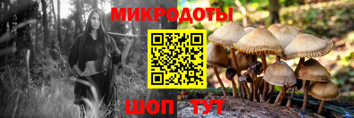 Псилоцибиновые грибы мицелий Ипатово